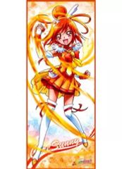beatmania IIDX グッズキャンペーン 等身大タペストリー イロハ - メルカリ