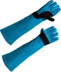 Item thumbnail for item d2cc684b-3542-431a-bf42-82dba313fa93