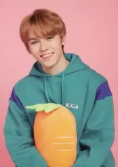 【中古】コレクションカード(男性) 046[ノーマルカード]：SEVENTEEN/VERNON(バーノン)/ノーマルカード/「2018 SEVENTEEN CONCERT‘IDEAL CUT’ IN JAPAN」トレーディングカード