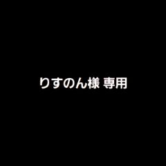 りすのん様専用出品