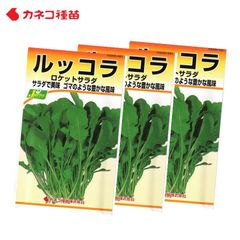 ルッコラ 種 ３袋セット 家庭菜園 畑 プランター ゴマのような豊かな風味 業務用 手軽に作れる 手間いらず イタリア料理 サラダ 肉料理 付け合わせ におすすめ ロケットサラダ 生産地 イタリア