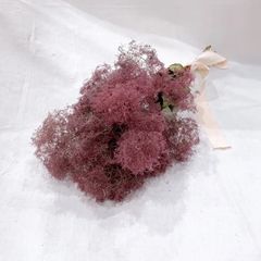 スモークツリー　ルビー　小束　ドライフラワー