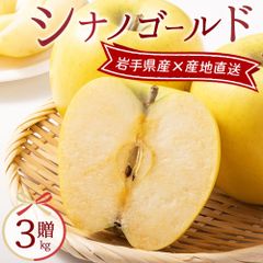 岩手県 産地直送 りんご シナノゴールド 約3kg 9玉入り 林檎 リンゴ 果物