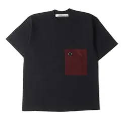 soe ソーイ Tシャツ サイズ:1 バックロゴ 異素材ビッグポケット ヘビーウェイト クルーネック 半袖 Tシャツ READY TO WEAR ブラック 黒 トップス カットソーのサムネイル