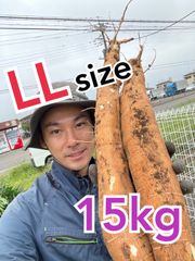 キャッサバ芋 - メルカリ