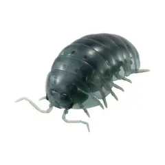 【中古】トレーディングフィギュア だんごむし(クリアグレー) 「だんごむし06 だんごむしととらふからっぱ」のサムネイル