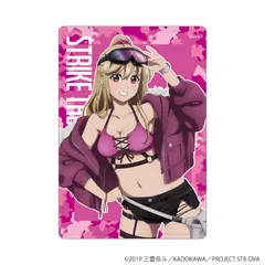 2025年最新】ストライク・ザ・ブラッド ポストカードの人気