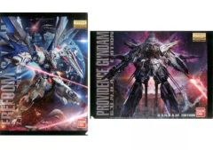[중고] 클리어 파일 ZGMF-X10A 프리덤 건담 ver.2.0 & ZGMF-X13A 프로비던스 건담 A4 클리어 파일 세트(2장 세트) [이치반 복권 기동 전사 건담 건프라 40주년] H상