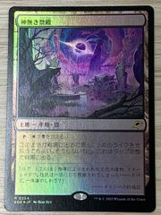 MTG 苦花 モーニングタイド ロシア語 - メルカリ
