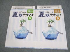 小学 夏期テキスト 5年 - メルカリ