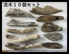 【A】天然流木１０個レイアウト用　アク抜き済