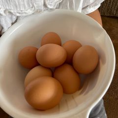 赤ちゃんのために育てた卵(20個)