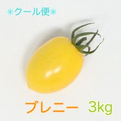 【甘い高級トマト】高糖度フルーツミニトマト！ブレニー3kg［クール便］