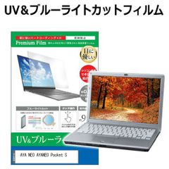 AYA NEO AYANEO Pocket S [6インチ] 保護 フィルム カバー シート ブルーライトカット 反射防止 指紋防止 液晶保護フィルム メール便送料無料