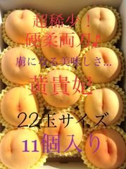 予約商品 9月中旬〜10月上旬にかけ発送予定。超稀少！ 虜になる美味しさ… 硬柔両刀♪ 至極の一品 木成り熟成 黄貴妃
