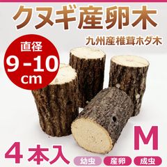 クヌギ産卵木　４本入　直径約9～10㎝　Mサイズ　九州産　椎茸　ホダ木　クワガタ産卵木に最適！！　カブトムシ・クワガタの止まり木にもおすすめ！