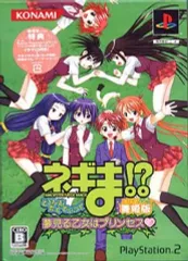 【中古】PS2ソフト ネギま!?どりーむたくてぃっく 夢見る乙女はプリンセス [舞姫版]