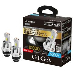 【定形外郵便】カーメイト GIGA LEDヘッドバルブ D10 6000K D4S 【BW904】