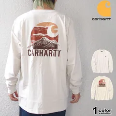 国内希少 Carhartt カーハート Tシャツ 長袖 ロンT  ポケットTシャツ バックプリント リラックスフィット メンズ トップス 107260