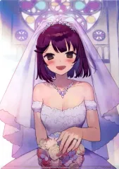 【中古】クリアファイル [単品] ソフィー＆プラフタ/ソフィー A4クリアファイル 「PS4/switchソフト ソフィーのアトリエ2 ～不思議な夢の錬金術士～ WonderGOOオリジナル限定セット」 同梱特典