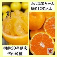 【樹齢20年限定　河内晩柑6kg】【山北温室ハウスみかん　赤秀1kg】同梱セット