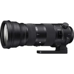 2024年最新】シグマ 150-600mm F5-6.3 DG OS HSM Contemporaryの人気 ...