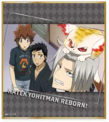 【中古】紙製品 沢田綱吉＆山本武＆獄寺隼人＆瓜 「家庭教師ヒットマンREBORN! トレーディングミニ色紙」