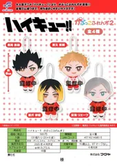 【未開封品】ハイキュー!! かぷっこふれんず2 音駒高校 全セット 黒尾鉄朗/孤爪研磨/夜久衛輔/灰羽リエーフ(058)