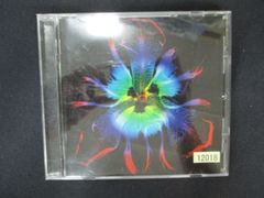PIERROT DICTATORS CIRCUS-A deformed BUD- - メルカリ