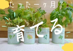 GHウォーターファーム 水耕栽培キット 液肥セット 未使用 GHウォーターファーム 水耕栽培キット 液肥セット 未使用