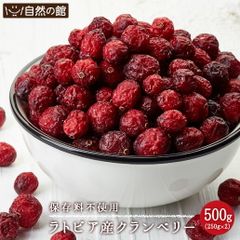訳あり ラトビア産 クランベリー 500g(250g×2) 保存料不使用 ドライフルーツ 送料無料 保存に便利なチャック付き [ 甘酸っぱい フルーツ cranberry お試しサイズ 自然の館 保存食 非常食 訳あり