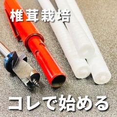 【限定セット！】しいたけ菌＋錐＋植菌棒＋フタ 12.5mm 原木しいたけ栽培用
