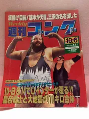 直筆サイン色紙プロレス　越中詩郎 レア】新日本プロレス 侍 越中詩郎 サイン ヴィンテージ 30年