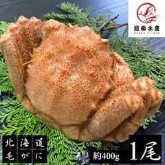 【訳あり】北海道産　毛蟹　1尾（約400ｇ）　付け足　毛がに　かに　蟹