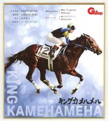 非売品】エピファネイア ジャパンCポスター B1サイズ 競馬 ヒーロー