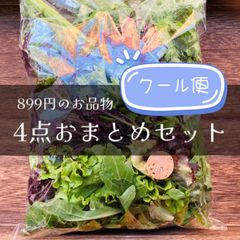 【クール便】4点おまとめセット(899円の商品×4点)