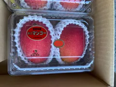 2024年最新】宮崎 完熟 マンゴーの人気アイテム - メルカリ 