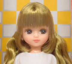 2025年最新】リカちゃんキャッスルS月間ドールコレクションの 2025年最新】リカちゃんキャッスルS月間ドールコレクションの