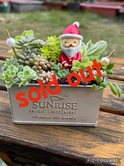 ☆多肉植物＊七福神入り＊そのまま飾れる☆クリスマス☆サンタさん☆