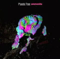 2025年最新】plastic tree アンモナイトの人気アイテム - メルカリ