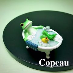 ダイカイコポー《Copeau》☆新作☆ ミニガーデン ウッドハウスにいる