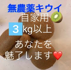 レンゲ米 コシヒカリ2kg - メルカリ