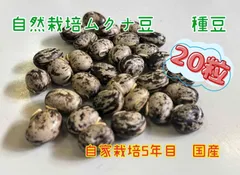 和歌山県産 ムクナ豆 2kg 農薬不使用 自然栽培 R6年産 八升豆 無肥料 和歌山県産 ムクナ豆 2kg 農薬不使用 自然栽培 R6年産 八升豆 無肥料