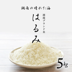 はるみ米　湘南の米　神奈川県平塚産　入手困難な米　5kg