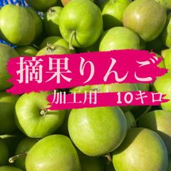 青森県産　摘果りんご　ジョナゴールド　加工用約10キロ