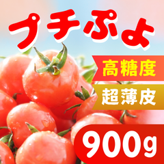静岡県産ミニトマト　プチぷよ　900g　ゴールドプレミアム