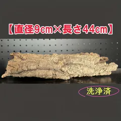 2026年最新】コルク樹皮 キャノンの人気アイテム - メルカリ