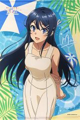 ぬきたし2　トレーダー　女部田郁子 ドラマCD タペストリー ぬきたし2 店舗特典 女部田郁子 CD B2タペストリー - メルカリ