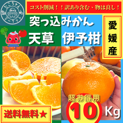 【超セール☆食べ比べ突っ込みかん】愛媛県　天草×伊予柑　10kg