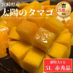 【贈答品】太陽のタマゴ-５Lサイズ 赤秀品